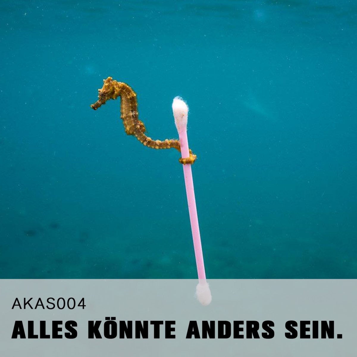 AKAS004 Ein bisschen links-grünversifft sollte es schon sein.