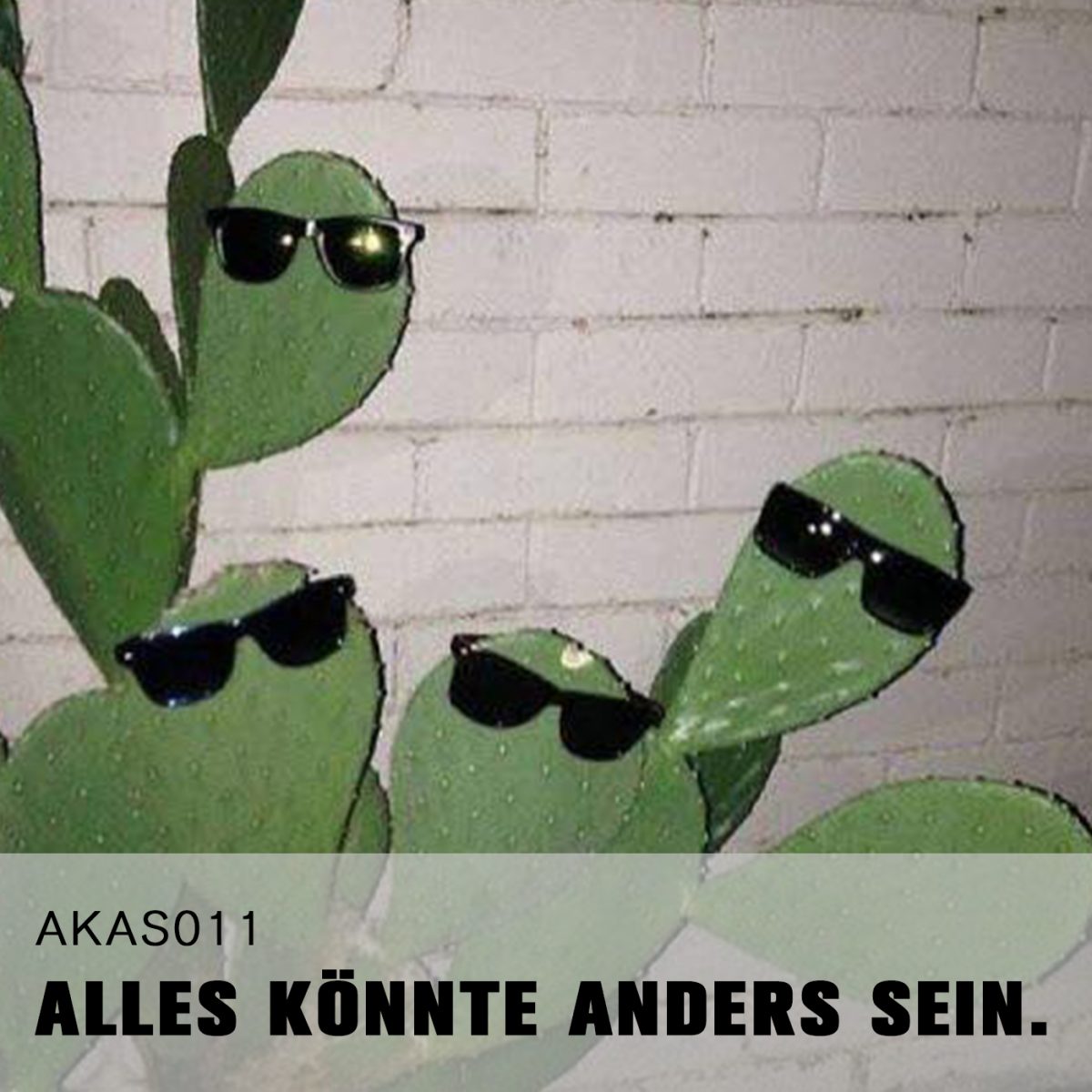 AKAS011 Bouncen im Kollektiv (zu Gast: David)