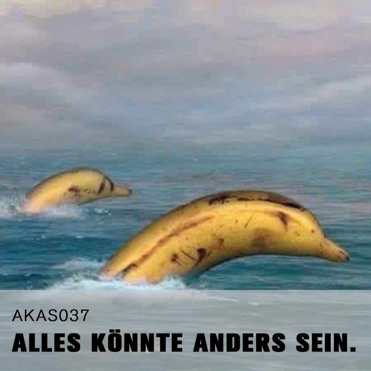 AKAS037 Die Fische gucken schon ganz traurig.