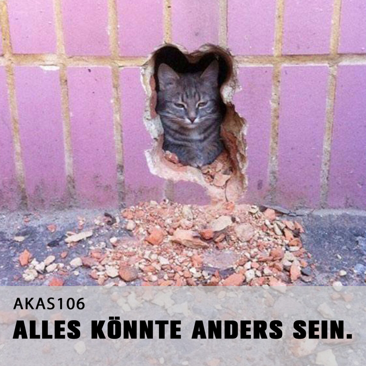 AKAS106 Wenn du 24 Stunden Zeit hast, denen in den Arsch zu treten, dann tust du das auch. (Zu Gast: Thomas)